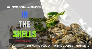 Shellfish Storage: Freezing Fresh Clams and Oysters in Their Shells