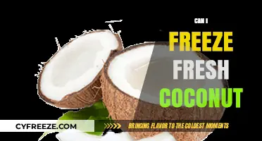 Chill or Not: The Ultimate Guide to Freezing Fresh Coconut