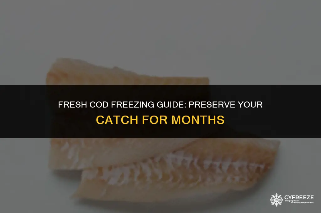 can i freeze fresh cod