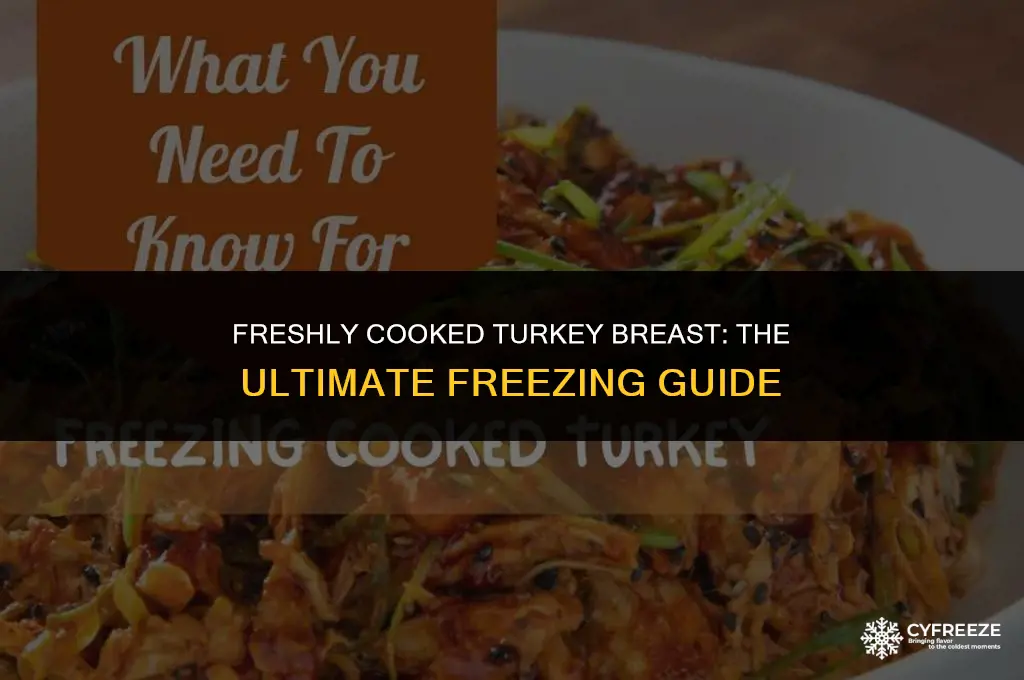 can i freeze fresh cooked turkey breast