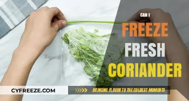 Preserve Freshness: The Ultimate Guide to Freezing Fresh Coriander