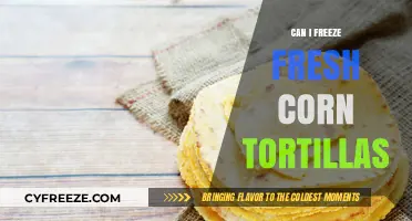 From Fresh to Frozen: The Ultimate Guide to Preserving Corn Tortillas
