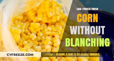 Skip the Blanching: How to Freeze Fresh Corn Directly