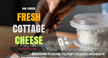 Fresh Cottage Cheese: Freezing Tips and Tricks