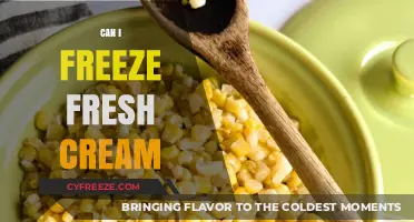 From Fresh to Frozen: The Ultimate Guide to Freezing Cream