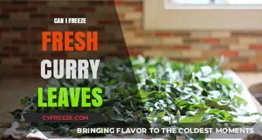 Preserve the Flavor: Freezing Fresh Curry Leaves Made Easy