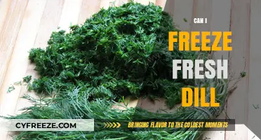 Preserve the Flavor: A Guide to Freezing Fresh Dill