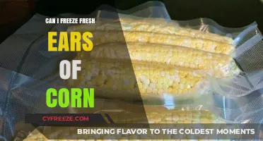 Preserve Summer's Bounty: Freezing Fresh Ears of Corn Made Easy