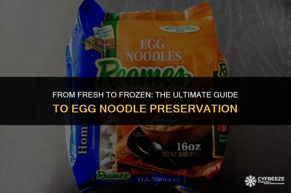 can i freeze fresh egg noodles