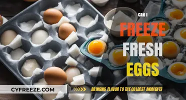 Egg-cellent Preservation: The Complete Guide to Freezing Fresh Eggs
