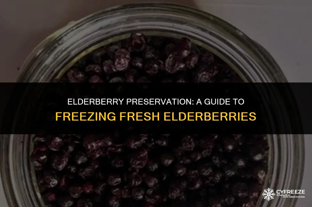 can i freeze fresh elderberries
