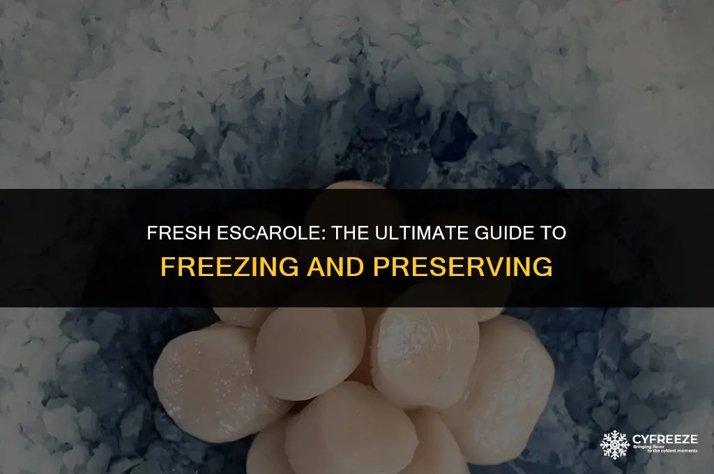 can i freeze fresh escarole