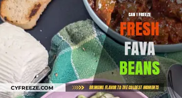 Fresh Fava Beans: The Ultimate Guide to Freezing for Longevity