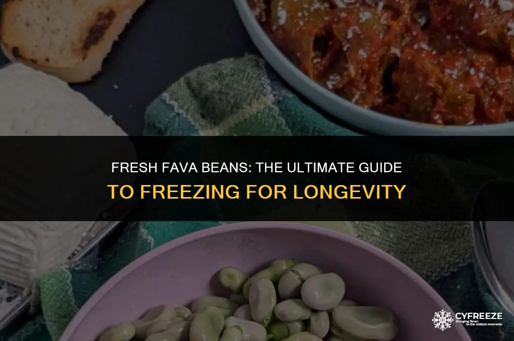 can i freeze fresh fava beans