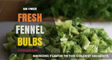 Fresh Fennel Bulbs: The Ultimate Guide to Freezing and Preserving