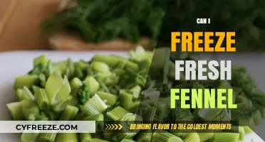 Fresh Fennel Freezing Guide: Preserve Its Flavor and Texture