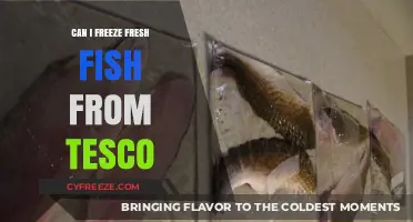 From Tesco to Your Freezer: A Guide to Freezing Fresh Fish