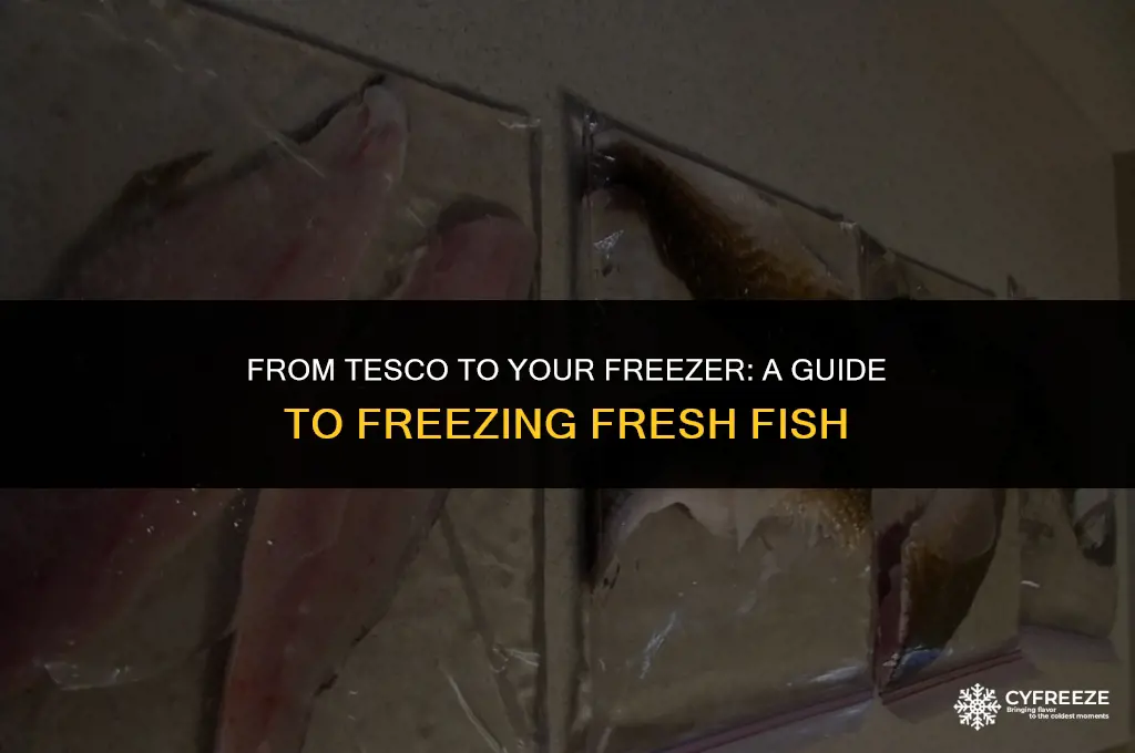 can i freeze fresh fish from tesco