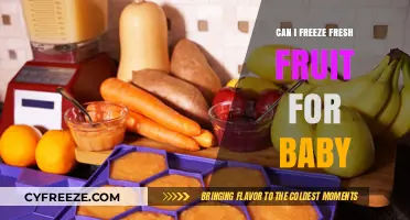 Fresh Fruit Freezing for Babies: A Nutritious and Convenient Guide