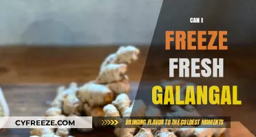 Preserving Fresh Galangal: A Comprehensive Freezing Guide