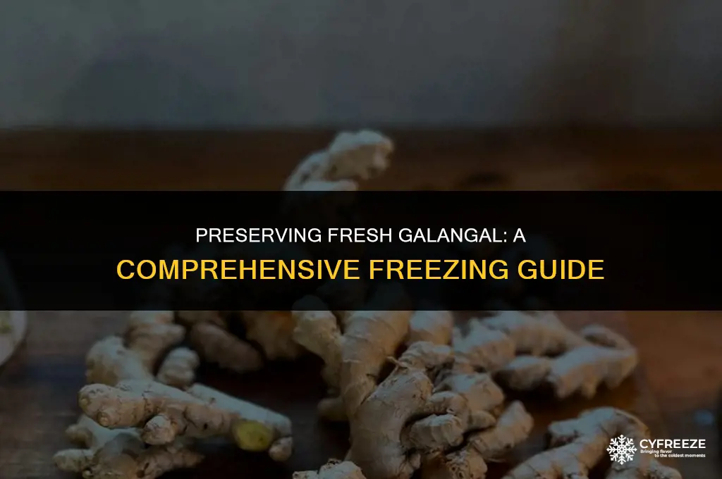 can i freeze fresh galangal