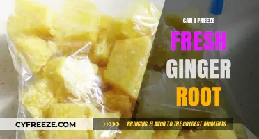 Preserving Freshness: A Guide to Freezing Ginger Root