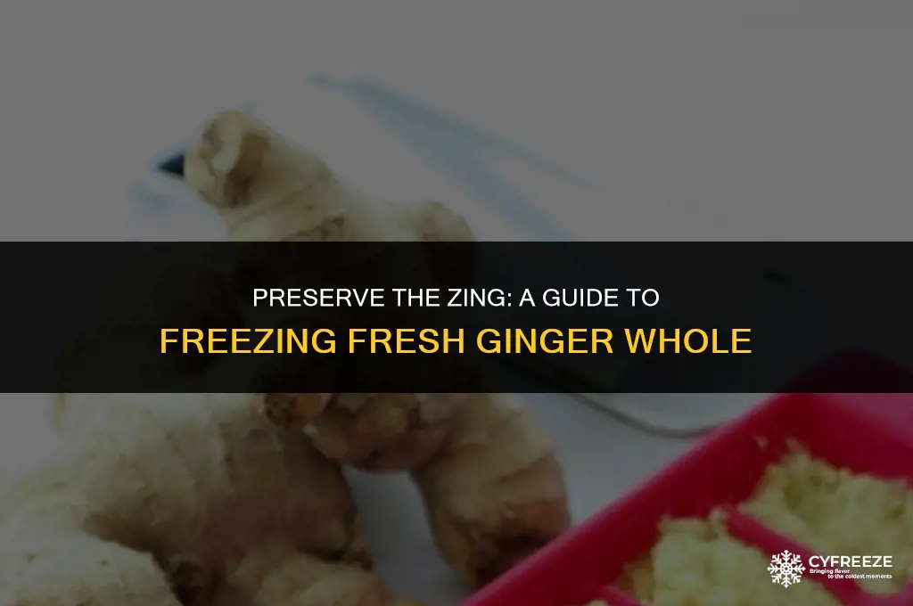can i freeze fresh ginger whole