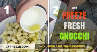 From Fresh to Frozen: A Guide to Freezing Homemade Gnocchi