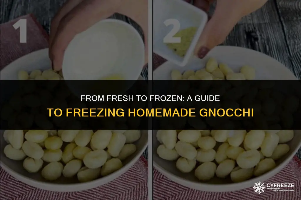 can i freeze fresh gnocchi