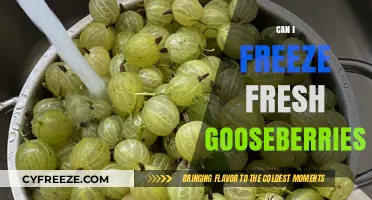 From Garden to Freezer: The Complete Guide to Freezing Fresh Gooseberries