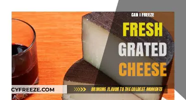 From Grater to Freezer: The Ultimate Guide to Preserving Fresh Cheese
