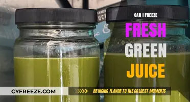 Preserve Your Greens: A Guide to Freezing Fresh Green Juice