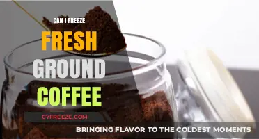 Preserve Your Brew: The Ultimate Guide to Freezing Fresh Ground Coffee