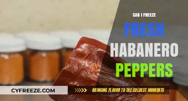 Spicy Preservation: Freezing Fresh Habanero Peppers for Long-Lasting Heat