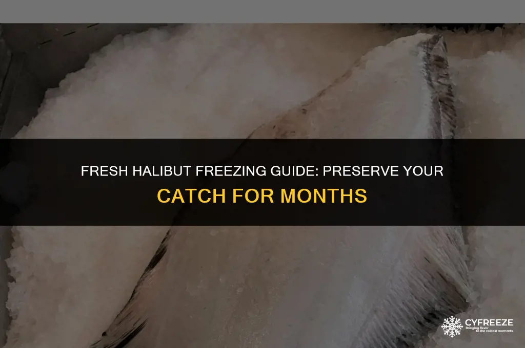 can i freeze fresh halibut
