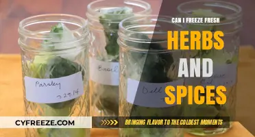 Preserve Freshness: A Guide to Freezing Herbs and Spices