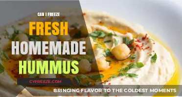 Freeze Fresh Homemade Hummus: A Complete Guide