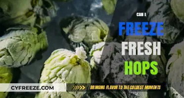 Preserving Flavor: The Ultimate Guide to Freezing Fresh Hops