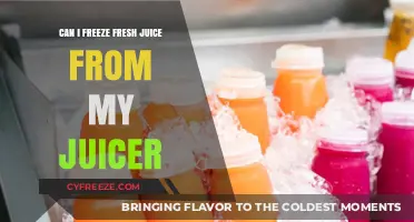Preserve Your Juicer's Bounty: A Guide to Freezing Fresh Juice