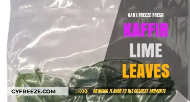 Preserve the Flavor: Freezing Fresh Kaffir Lime Leaves Made Easy