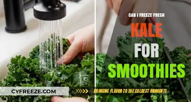 Smoothie Prep: The Ultimate Guide to Freezing Fresh Kale