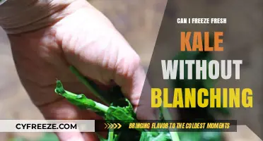 Blanching Optional: How to Freeze Fresh Kale Effortlessly