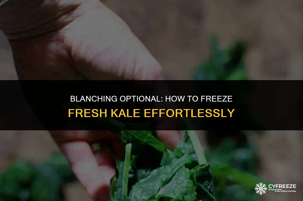 can i freeze fresh kale without blanching