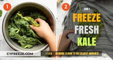 Preserve Your Greens: A Guide to Freezing Fresh Kale