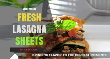 From Fresh to Frozen: A Guide to Freezing Lasagna Sheets