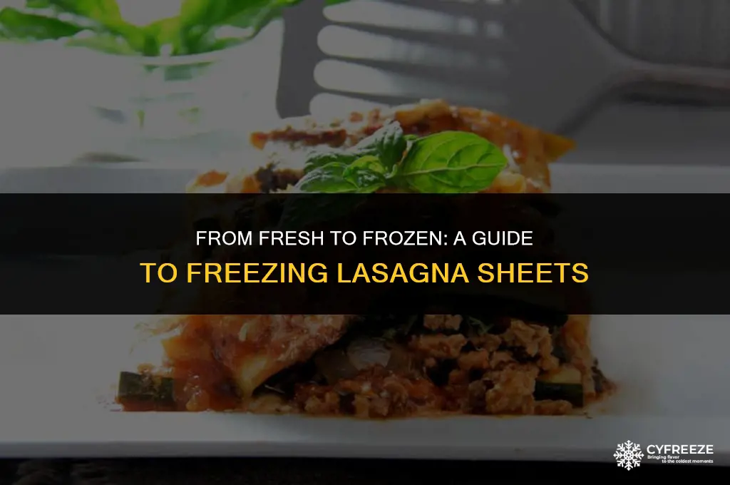 can i freeze fresh lasagna sheets