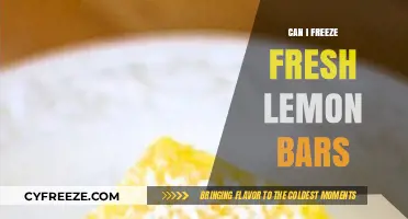 Chill Your Lemon Bars: A Guide to Freezing Fresh Desserts