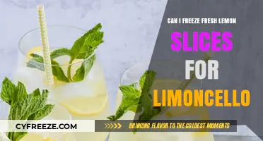 From Zest to Freeze: Crafting Limoncello with Fresh Lemon Slices