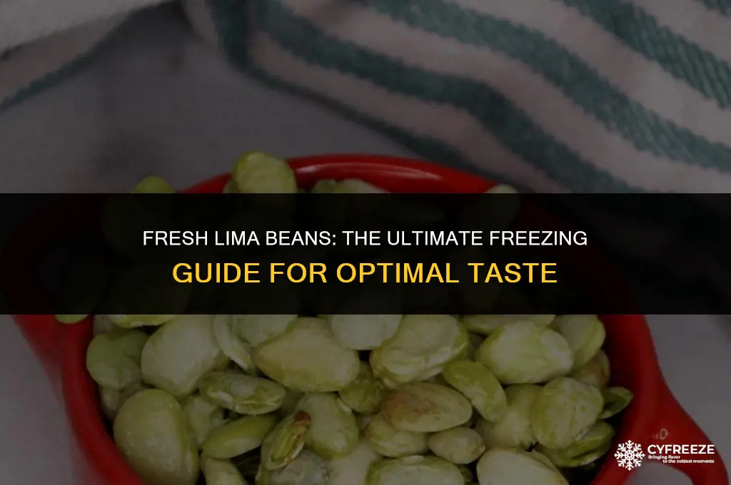 can i freeze fresh lima beans