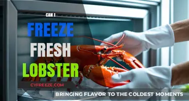 Fresh Lobster Freezing Guide: Preserve Your Seafood Delights!
